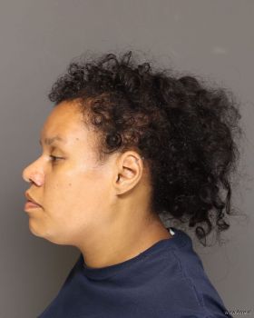 April Danielle Johnson Mugshot