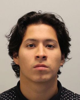 Armando Guillermo Urgilesortiz Mugshot