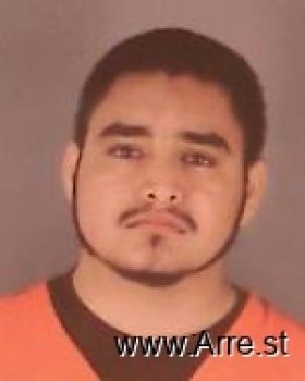 Arturo Manuel Rosales-salinas Mugshot