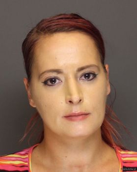 Ashley Elizabeth Kolar Mugshot