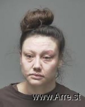 Ashley Ann Schmidt Mugshot