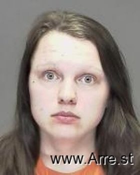 Ashley Ann Seelen Mugshot