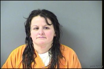 Ashley Marie Vogel Mugshot