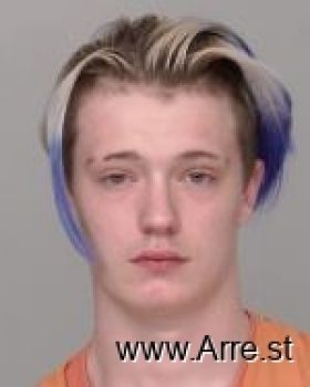 Austin Regan Collins Mugshot