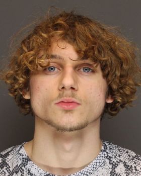 Avery Brenden Cogswell Mugshot