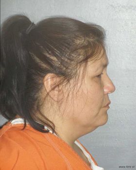 Barbara Ann Robinson Mugshot