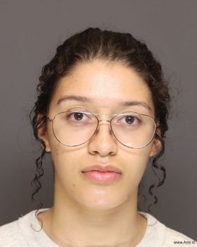 Belicia Alexis Pierre Mugshot