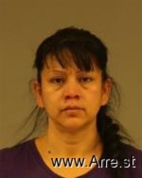 Bertha Alicia Bustos Mugshot