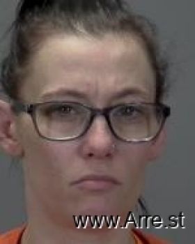 Brittany Ann Plaetz Mugshot