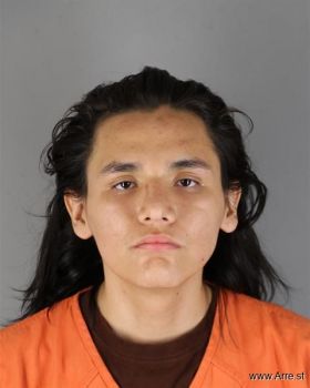 Carlos Santiago Perez-morales Mugshot