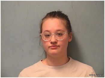 Cynthia Lee Lindmark Mugshot