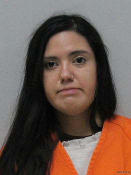 Carla Isabel Gonzalez-gonzalez Mugshot