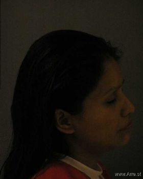 Carol Ann Graves Mugshot