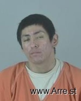 Chase Reed Nickaboine Mugshot