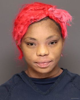 Christina Alice White Mugshot