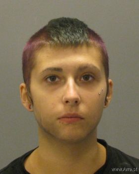 Danielle Ranae Nielsen Mugshot