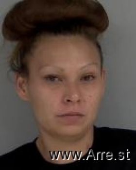 Danielle Raye Wichern Mugshot