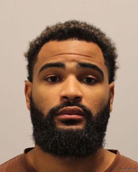 Davante Lavar-king Reid Mugshot