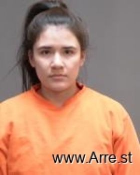 Diana  Martinez-ambriz Mugshot