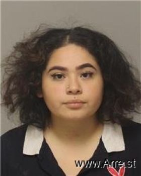 Elizabeth  Flores-lopez Mugshot