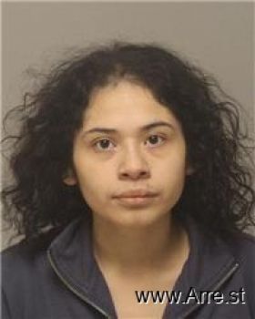 Elizabeth  Flores-lopez Mugshot