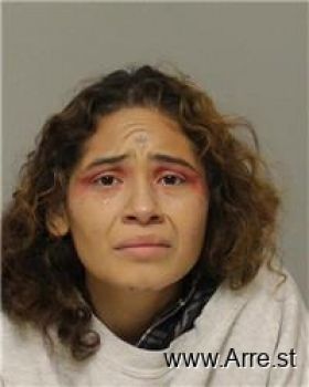 Elizabeth  Flores-lopez Mugshot