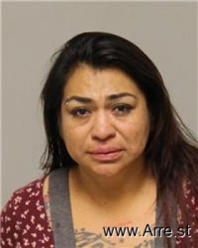 Elizabeth  Hernandez Diaz Mugshot