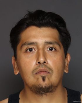 Enrique  Perezvences Mugshot