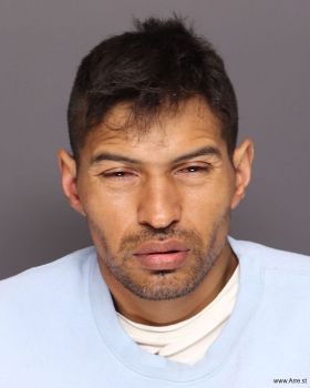 Fernando Garcia Hernandez Mugshot