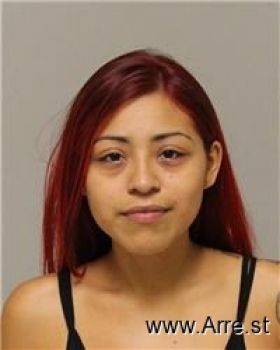 Gabriela  Vazquez Mugshot