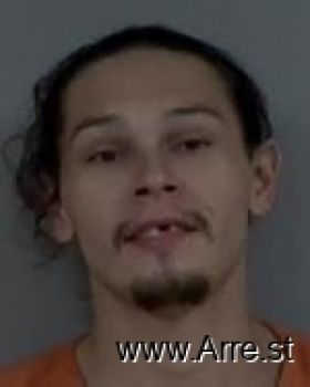 Gabriel Levi Chips Mugshot