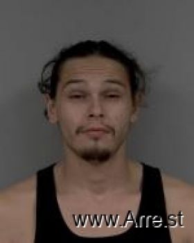 Gabriel Levi Chips Mugshot