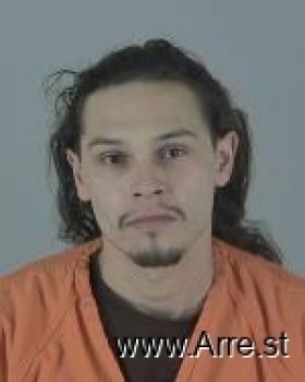 Gabriel Levi Chips Mugshot