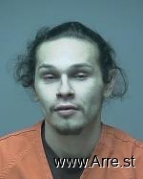 Gabriel Levi Chips Mugshot