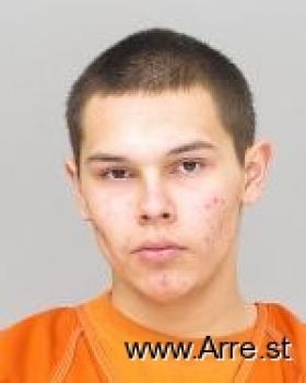 Gabriel Levi Chips Mugshot