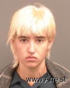 Gabriella Joy Olson Mugshot