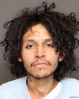 Geser Alexander Carbajalpineda Mugshot