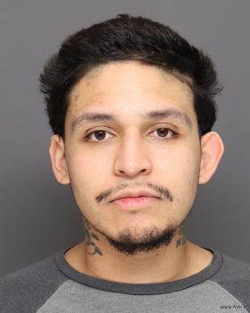 Geser Alexander Carbajalpineda Mugshot