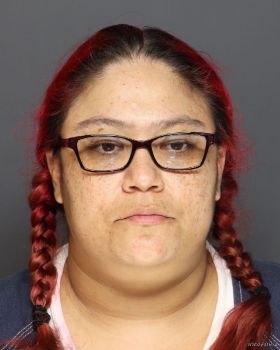 Gina Nicole Ballin Mugshot