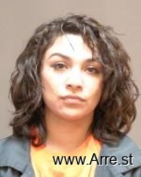 Guadalupe L Lopez-rasmussen Mugshot