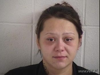 Heather Lynn Doerfler Mugshot