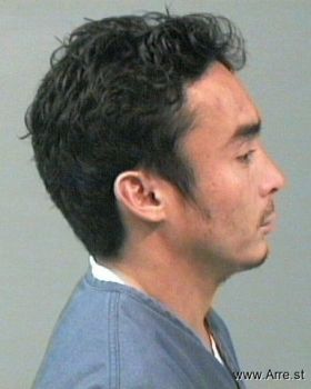 Ha Van Nguyen Mugshot