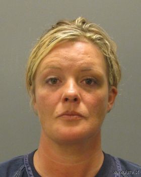 Heidi Joy Anderson Mugshot