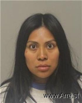 Jessica  Perez-pacheco Mugshot