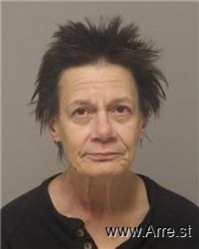 Joyce Marie Larson Mugshot