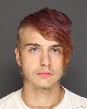 Jarryd Mychael Gervais-madison Mugshot