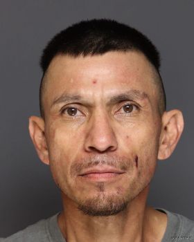 Javier  Martinez Mugshot