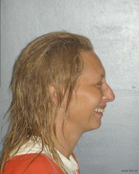 Jennifer Ann Holmberg Mugshot