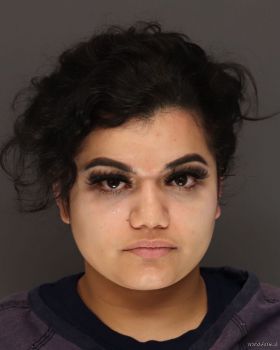 Jennifer Carolina Rodriguezcruz Mugshot