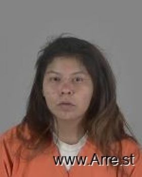 Jerri Leigh Kegg-nickaboine Mugshot